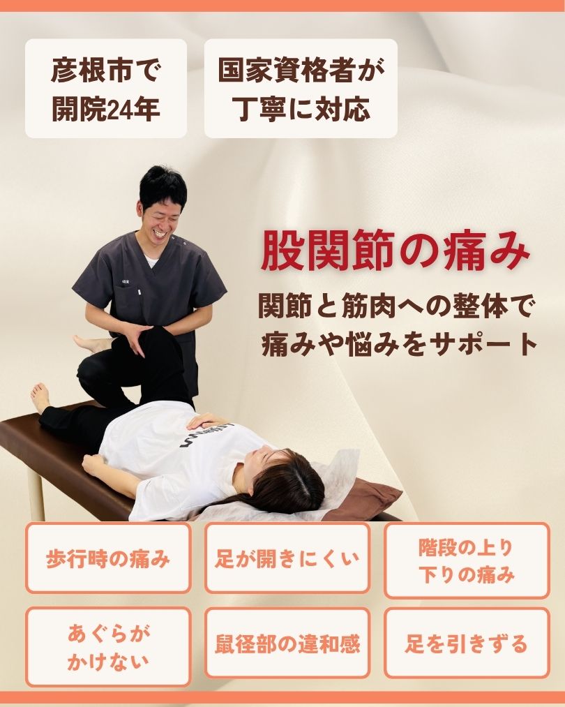 股関節の痛み 彦根市 整体