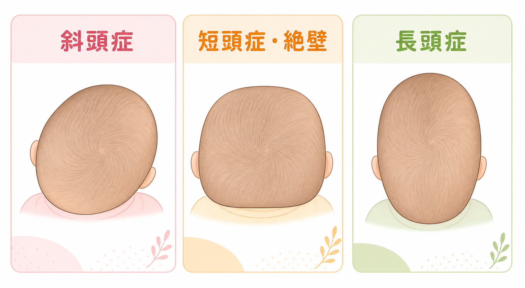赤ちゃんの頭の形の斜頭症・短頭症・長頭症を比較したやさしい図解