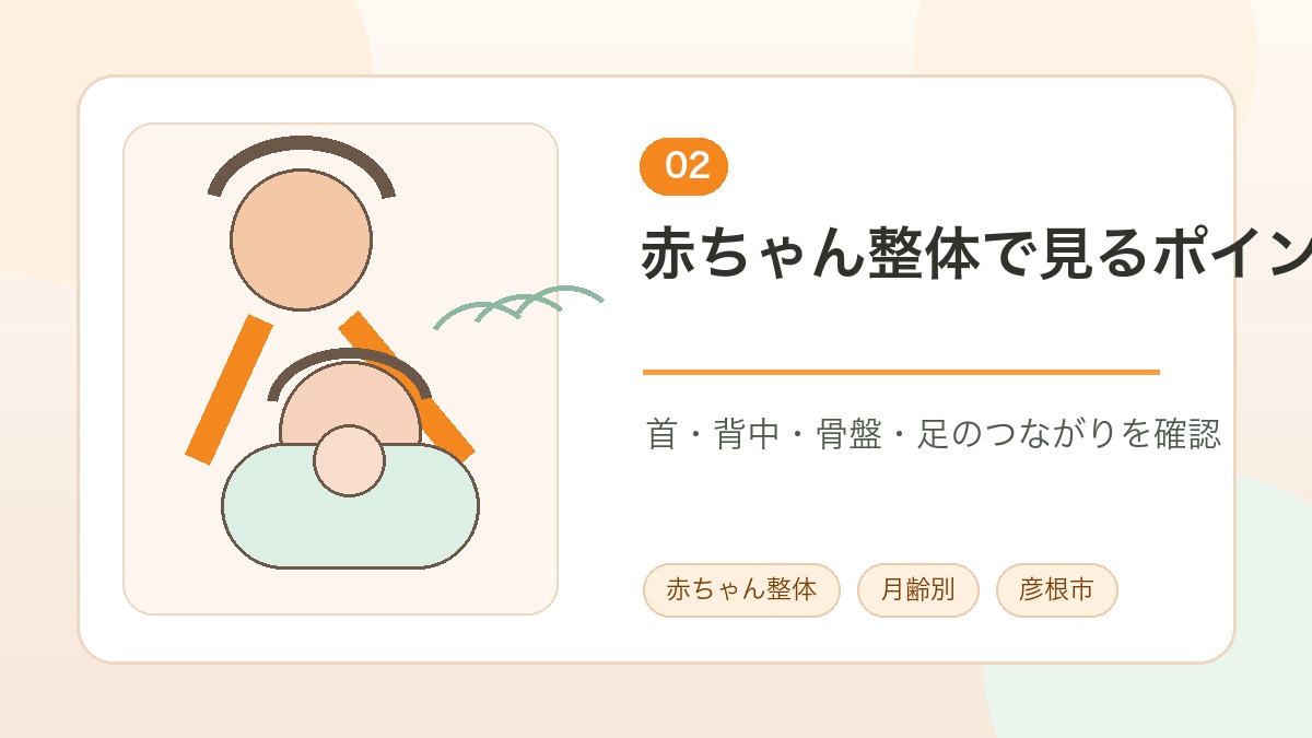 赤ちゃん整体で首や背中や骨盤のつながりを確認する説明画像