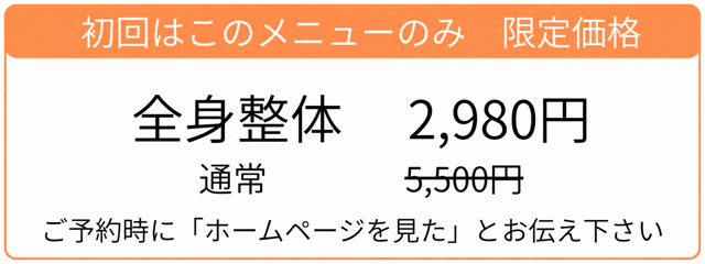 一般整体 初回2,980円・通常5,500円